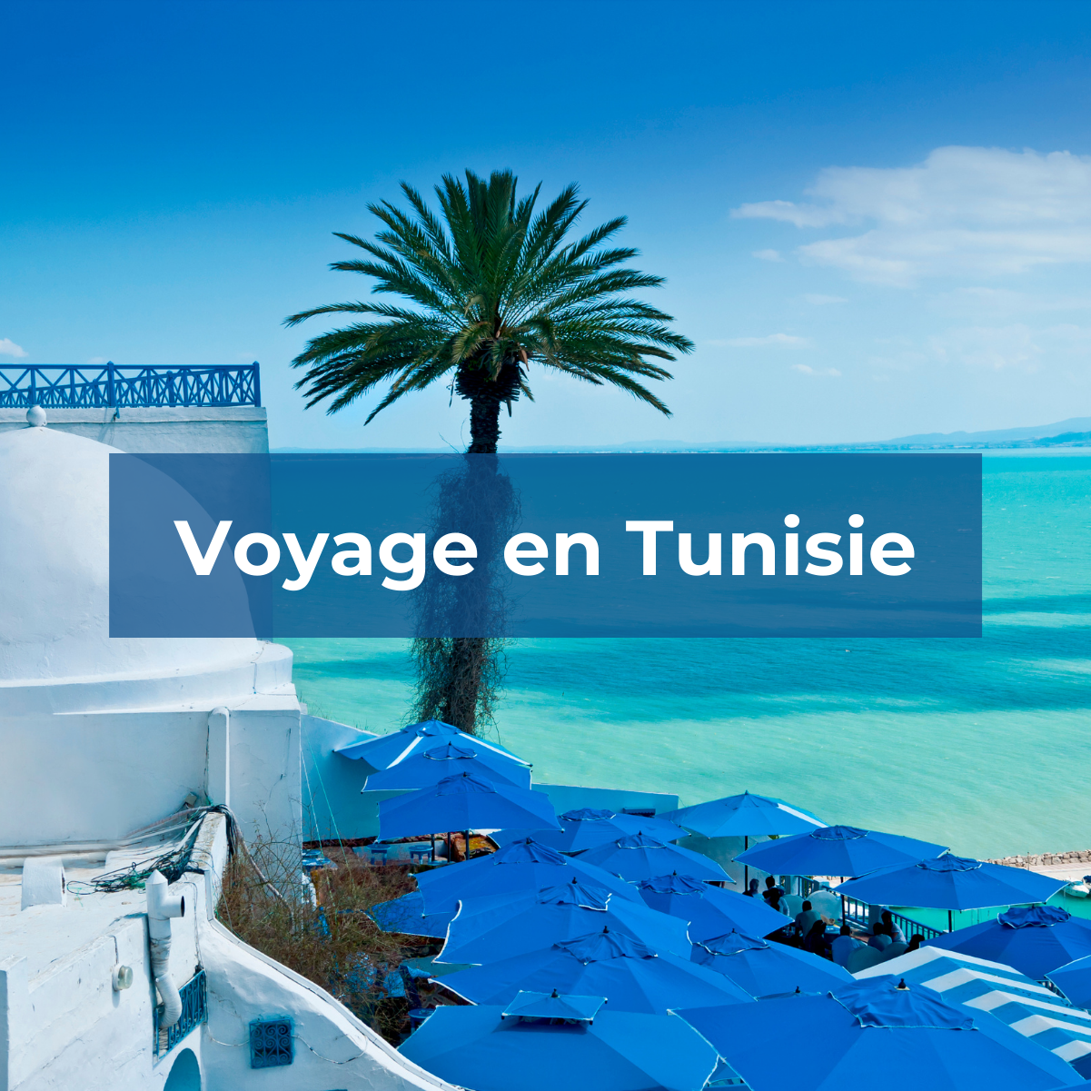 Retrouvez tous les détails pour organiser votre voyage en Tunisie