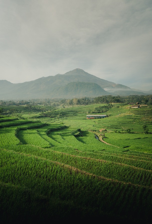 © Ardito Ryan Harrisna - Unsplash