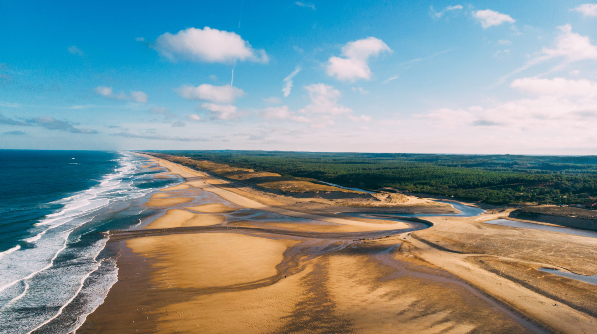 250 km de littoral bordé de forêts de pins (©Landes Tourisme)