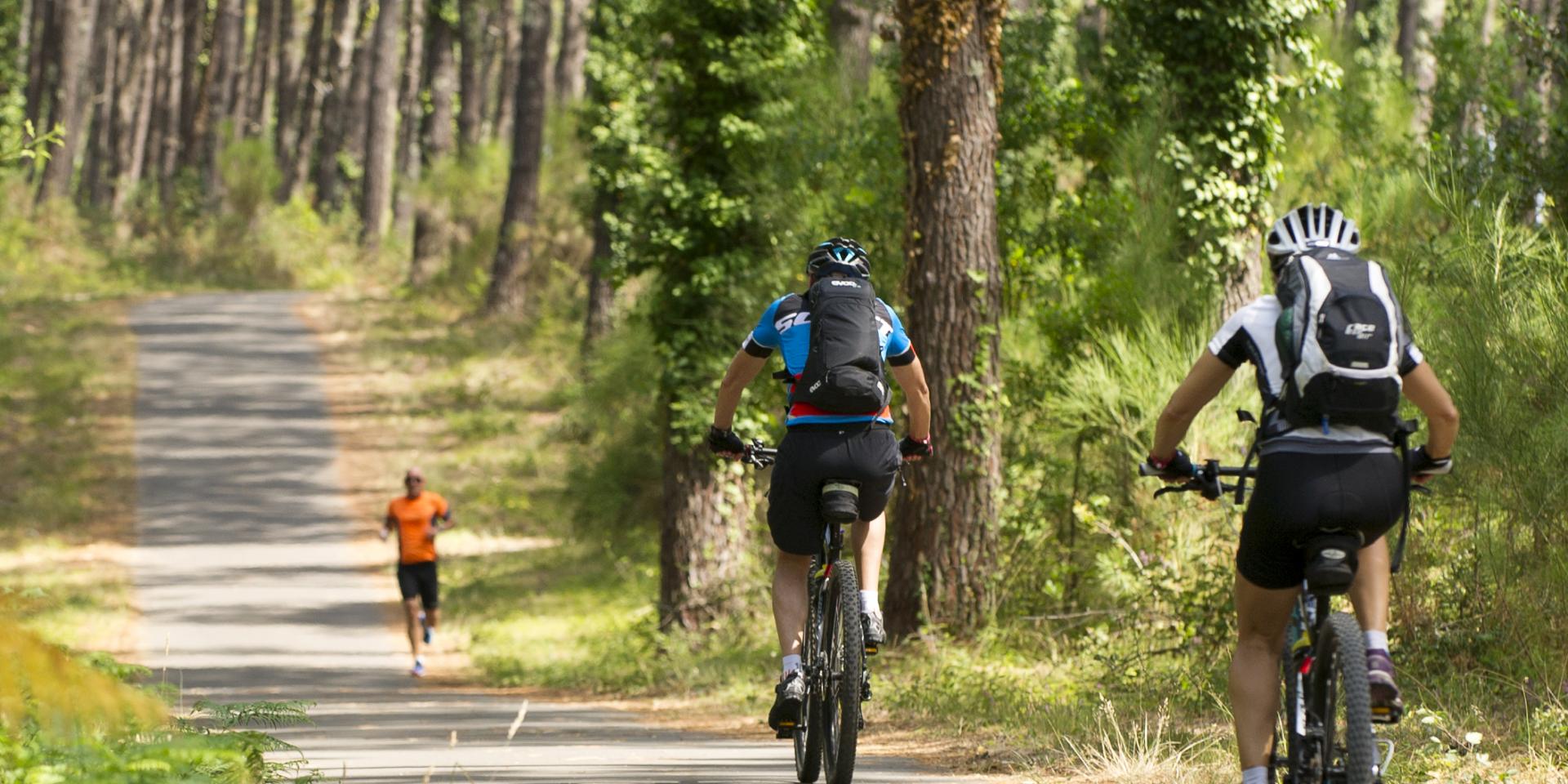 Excursions en forêt des Landes (© Sophie Pallak)