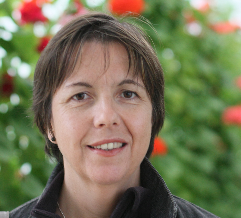 Le fil rouge de toutes ces expériences pour Christine Delécluse, c’est le management d’équipes, comment les faire progresser, les rendre autonomes et même plus compétentes que nous, leurs managers. Le fil rouge de toutes ces expériences pour Christine Delécluse, c’est le management d’équipes, comment les faire progresser, les rendre autonomes et même plus compétentes que nous, leurs managers.