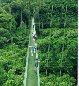 Ponts suspendus de Monteverde / crédit : ICT