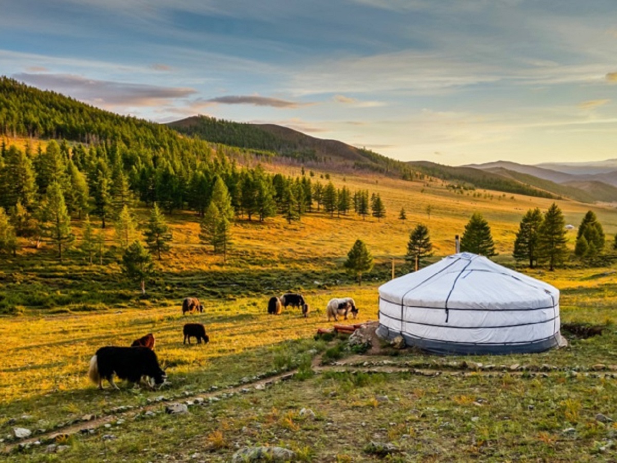 Voyage Mongolie, plus aucune restriction pour les voyageurs - ©Adobe Stock