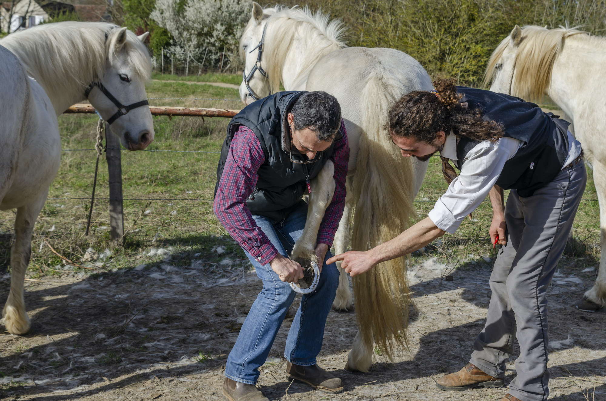 La prochaine étape est l'ouverture de nouvelles destinations dans les parcs naturels (© PNR de Camargue)