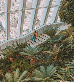 Sky Garden de Londres © VisitBritain / Abena Kusi