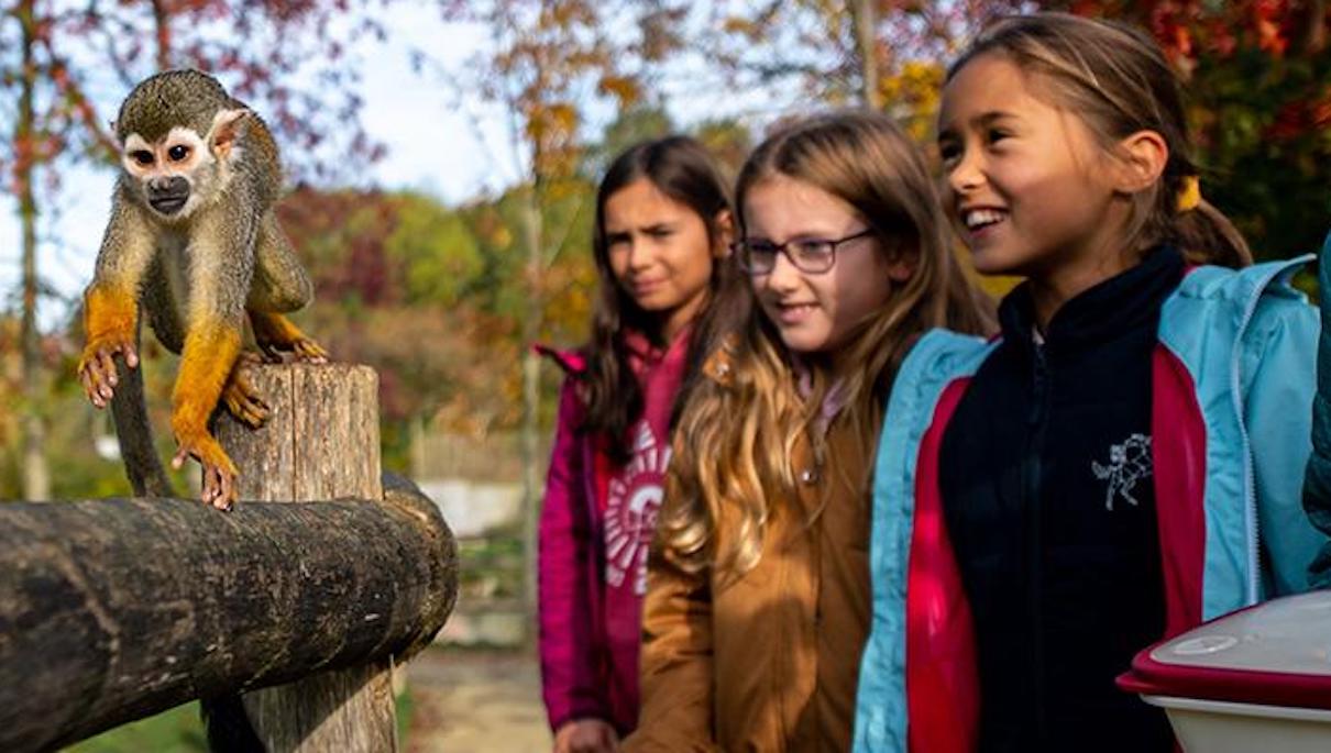 Stage de 3 jours pour initier les jeunes au métier de soigneur (©Planète Sauvage)