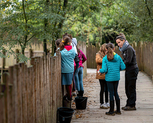 Un programme ludique et pédagogique (©Planète Sauvage) Un programme ludique et pédagogique (©Planète Sauvage)