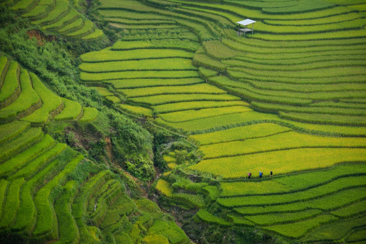 © Doan Tuan - Unsplash