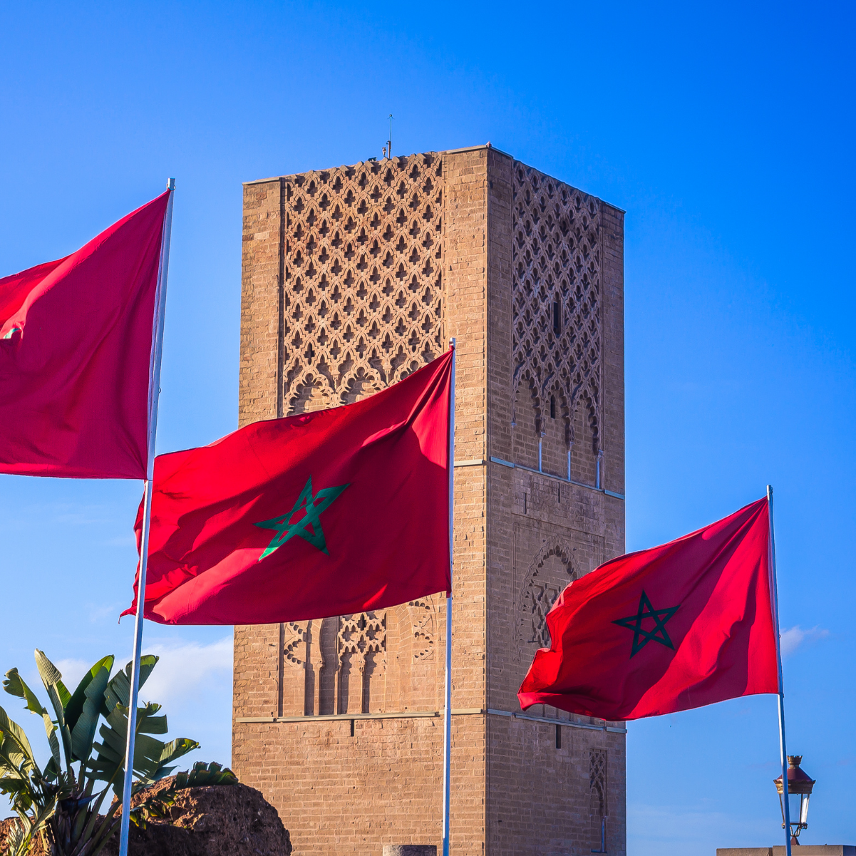 Drapeau du Maroc – Média LAROUSSE