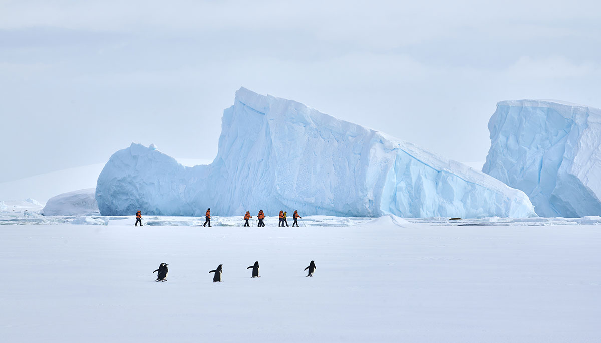 © PONANT - Mike Louagie © PONANT - Mike Louagie