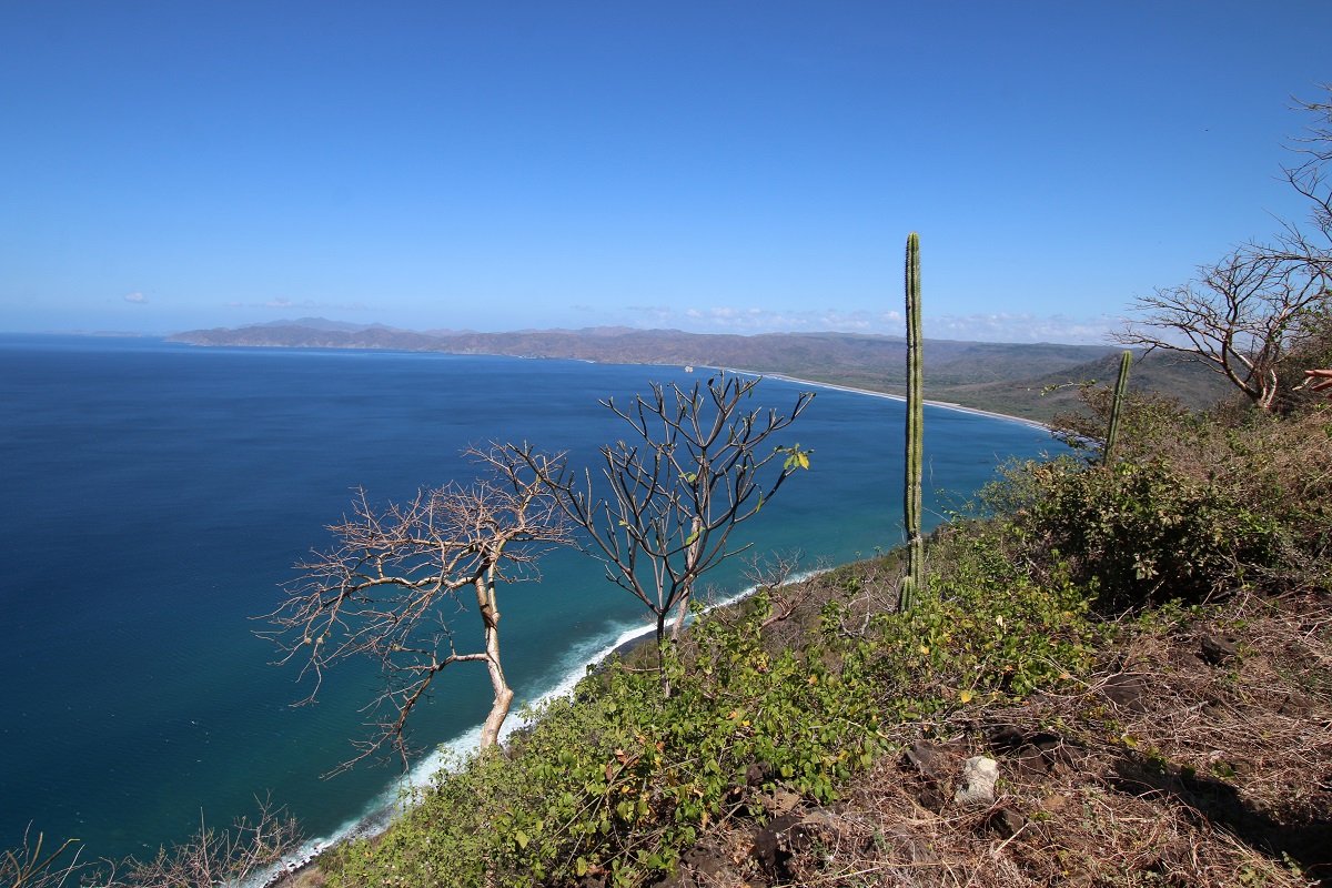 Voyage au Costa Rica : sur la côte Pacifique du Costa Rica, les régions d’Alajuela et du Guanacaste offrent aux visiteurs des territoires méconnus et des séjours de rêve au bord de l’océan - DR : J.-F.R.