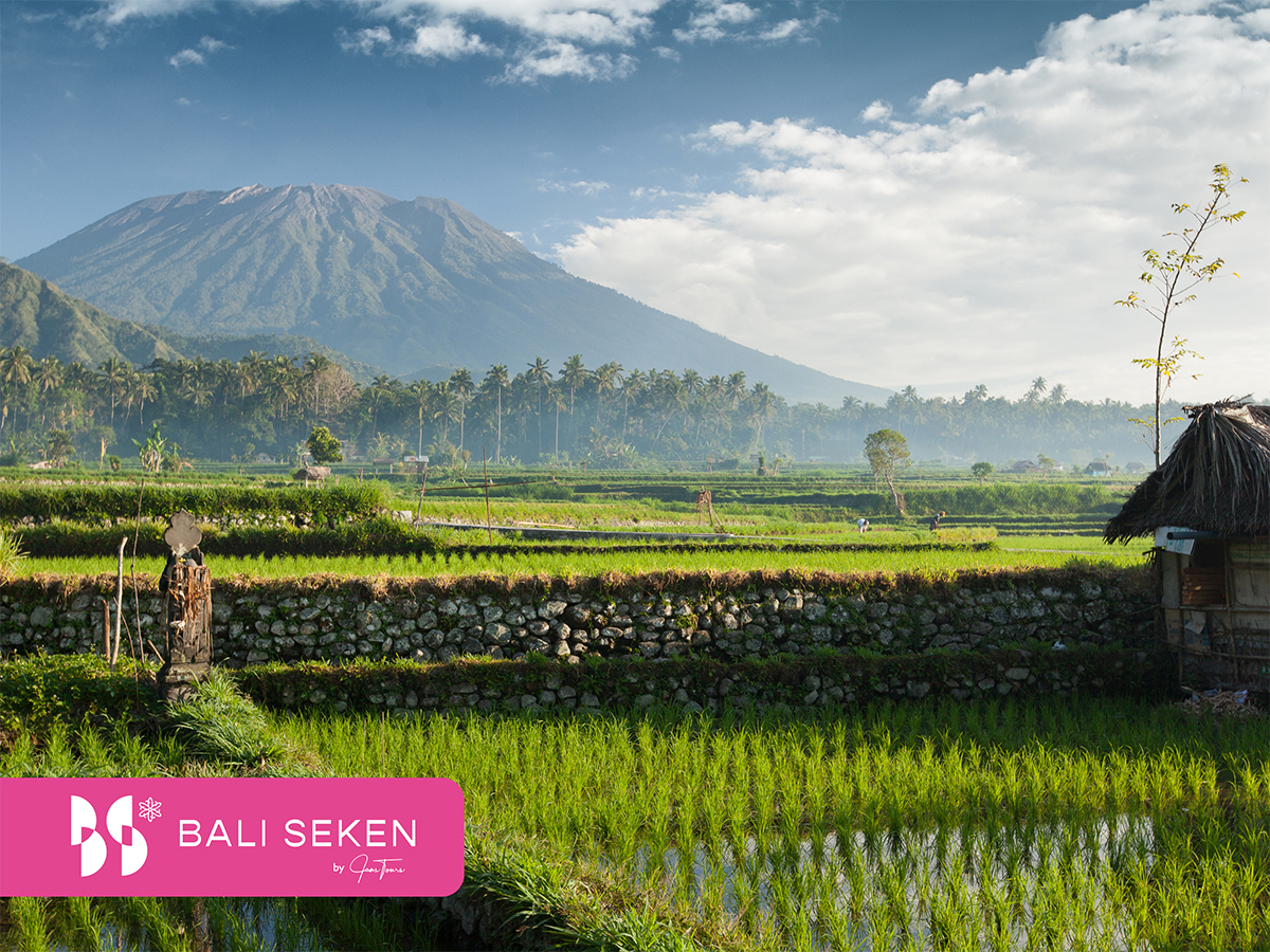 Bali & les voyageurs internationaux : des retrouvailles réussies !