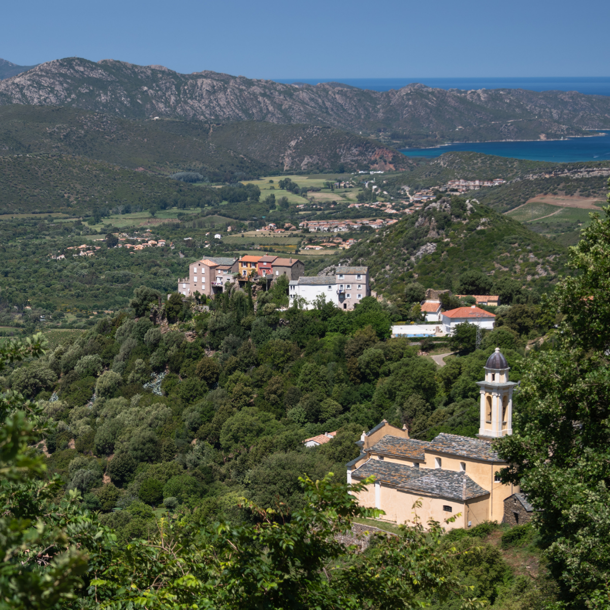 Corse net Infos, le pure player local Corse net Infos, le pure player local