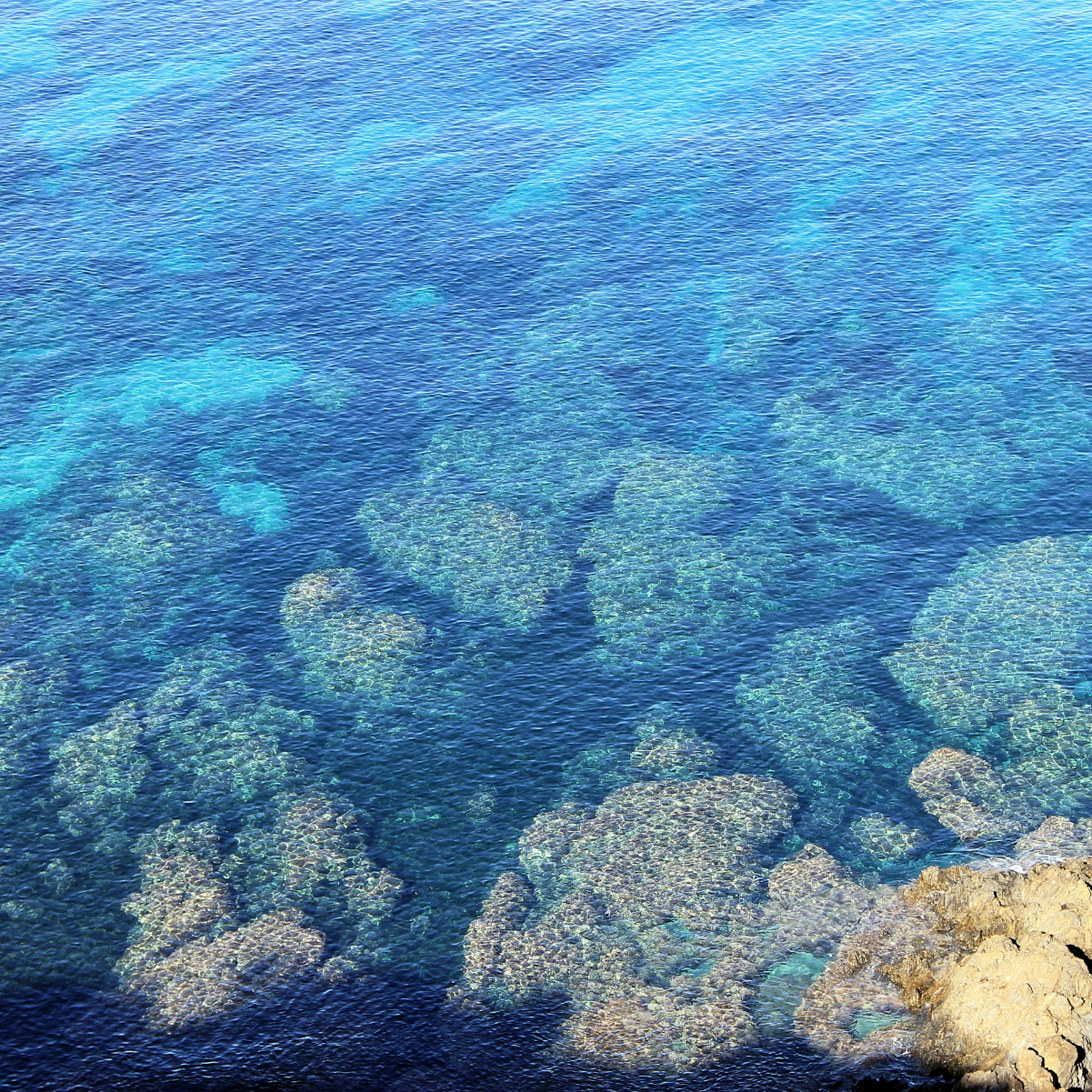 Corse net Infos, le pure player local Corse net Infos, le pure player local