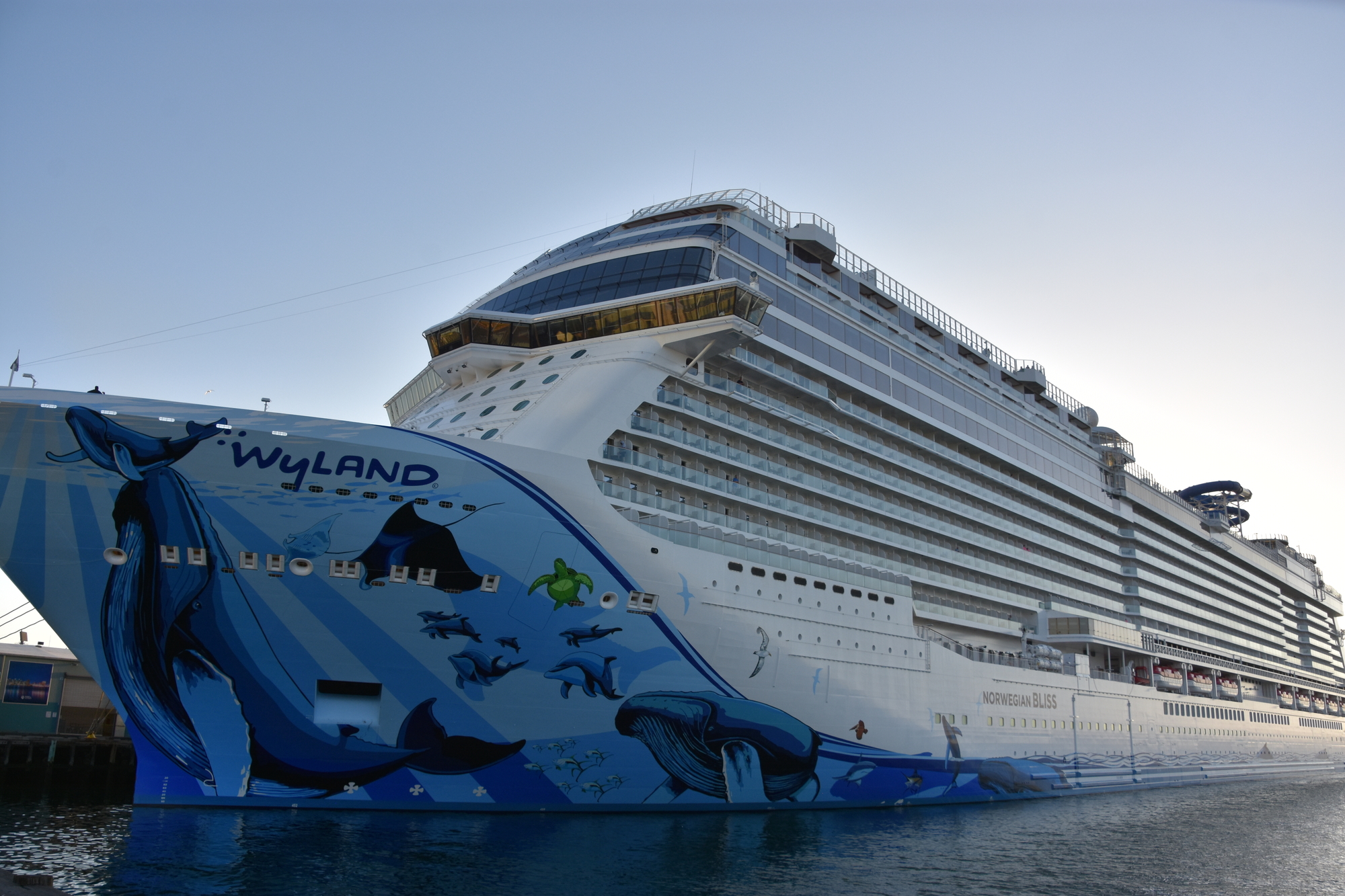 Norwegian Cruise Line Holdings a pour objectif d'atteindre le "zéro émission nette" d'ici 2050 - Depositphotos, auteur sainaniritu