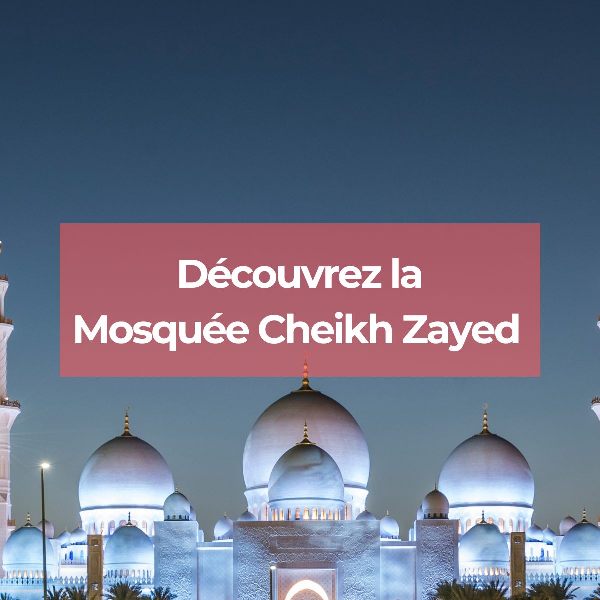 Découvrez la mosquée d'Abu Dhabi
