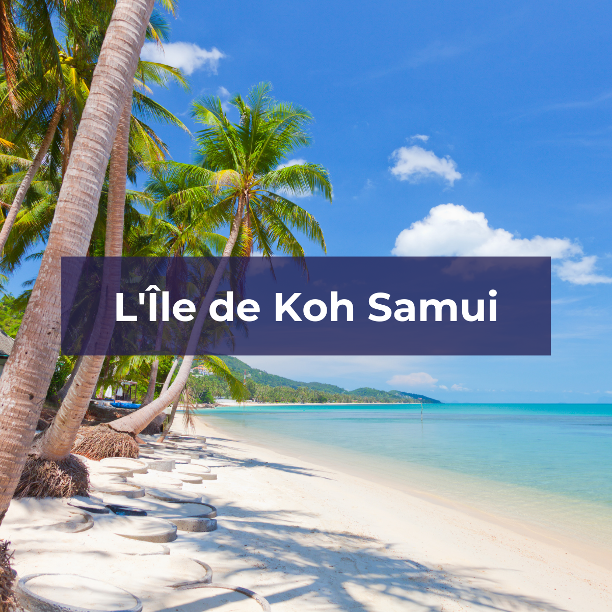 Découvrez l'Ile de Koh Samui avec TourMaG