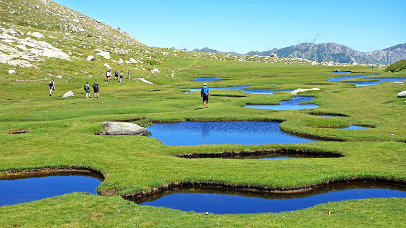 Plateau de Cuscionu © Fotolia