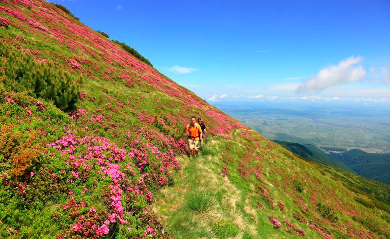 La Roumanie compte capitaliser sur ses richesses naturelles et culturelle pour attirer les visiteurs Français.DR