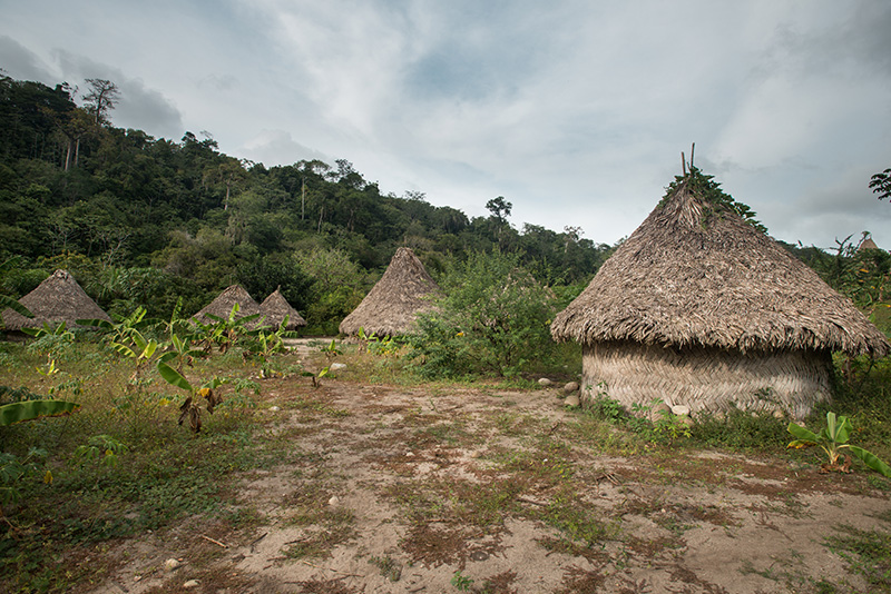 Photo Mario Carvajal