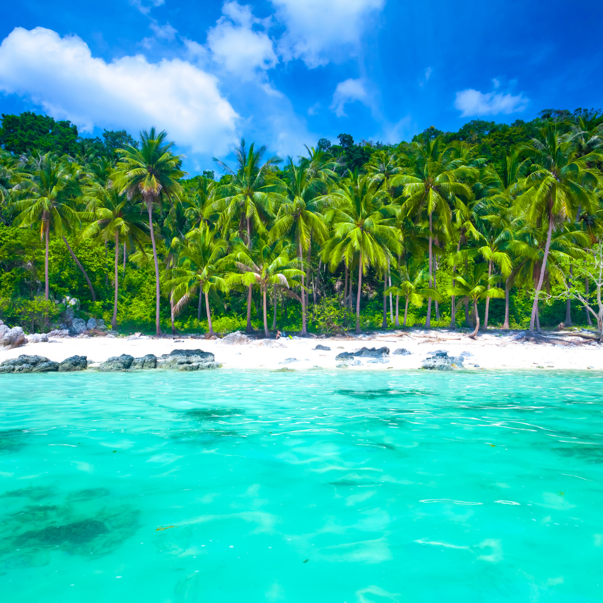 La météo thaïlandaise à Koh Samui