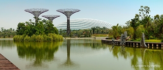Gardens by the Bay à Singapour