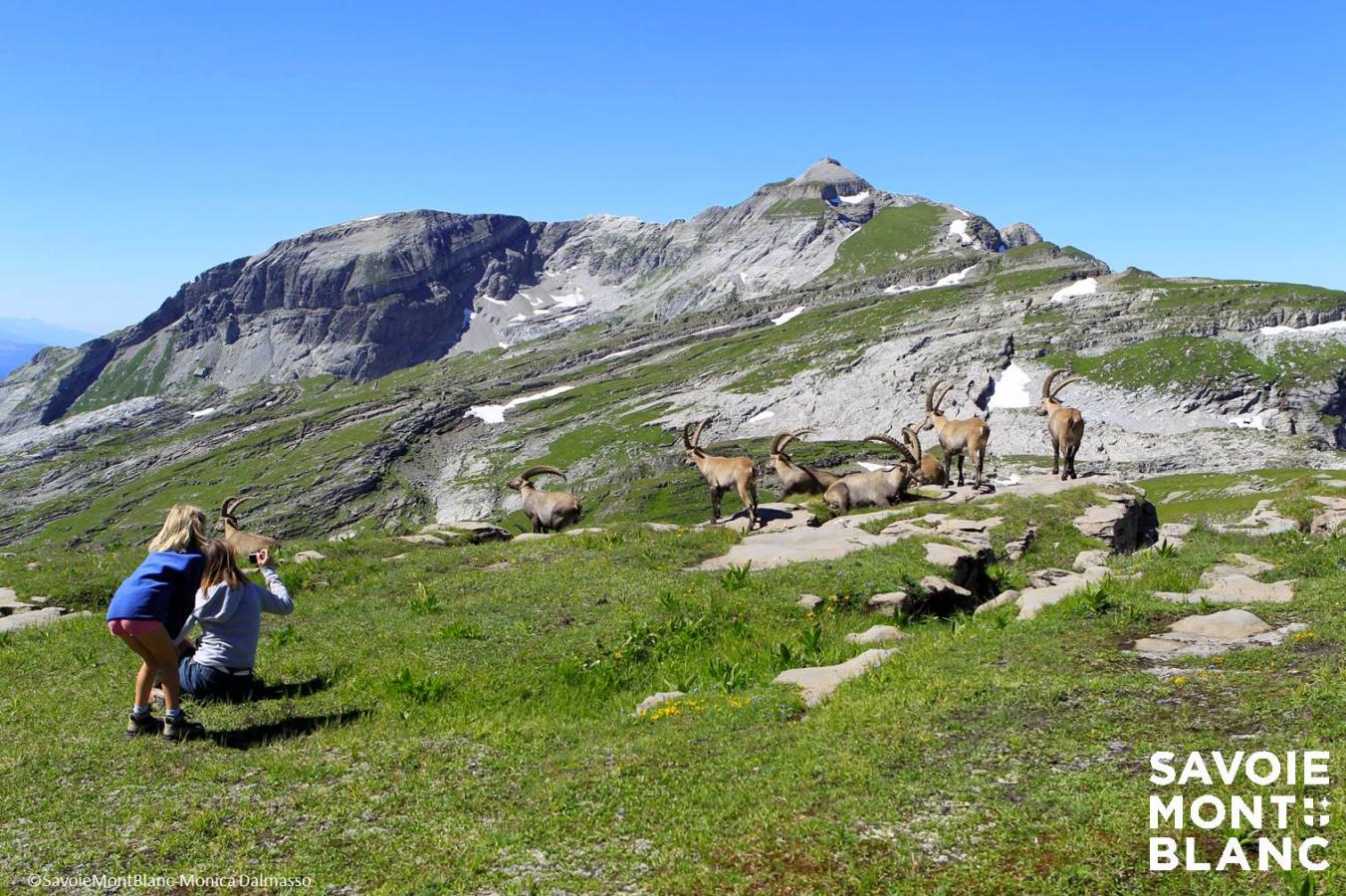 Intention de départs : la montagne à la 3ème place !