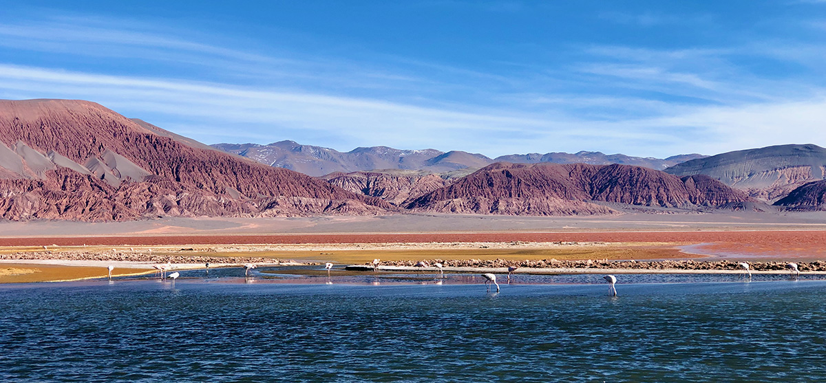 Laguna Carachi Pampa