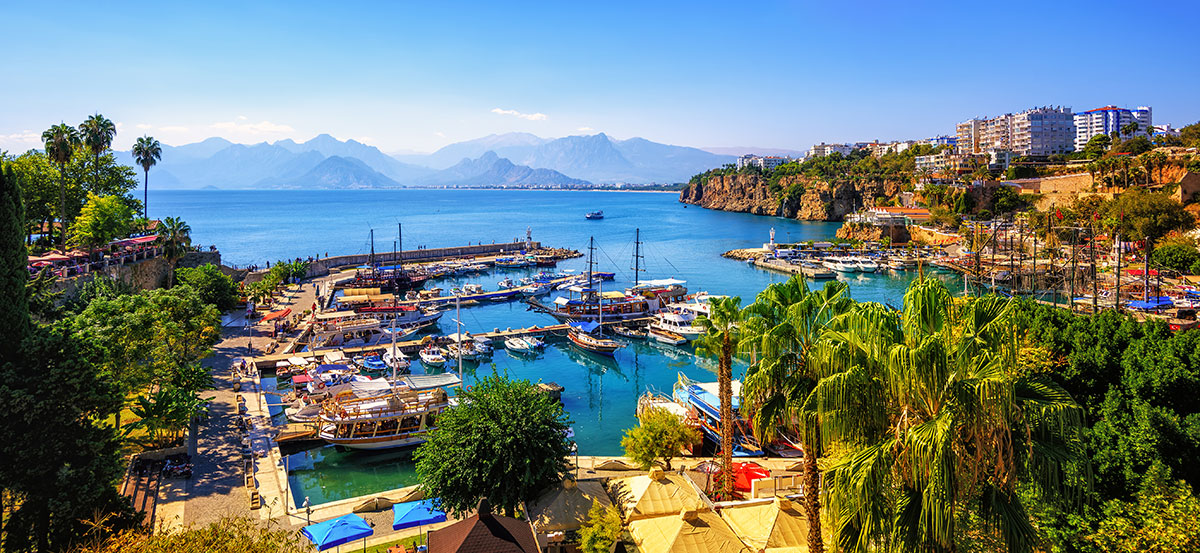 © Shutterstock