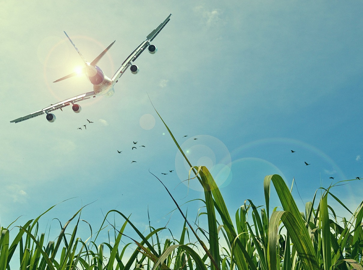 Global Bioenergies est dans l'attente de la certification pour pouvoir être ajouter dans les avions de ligne - DR
