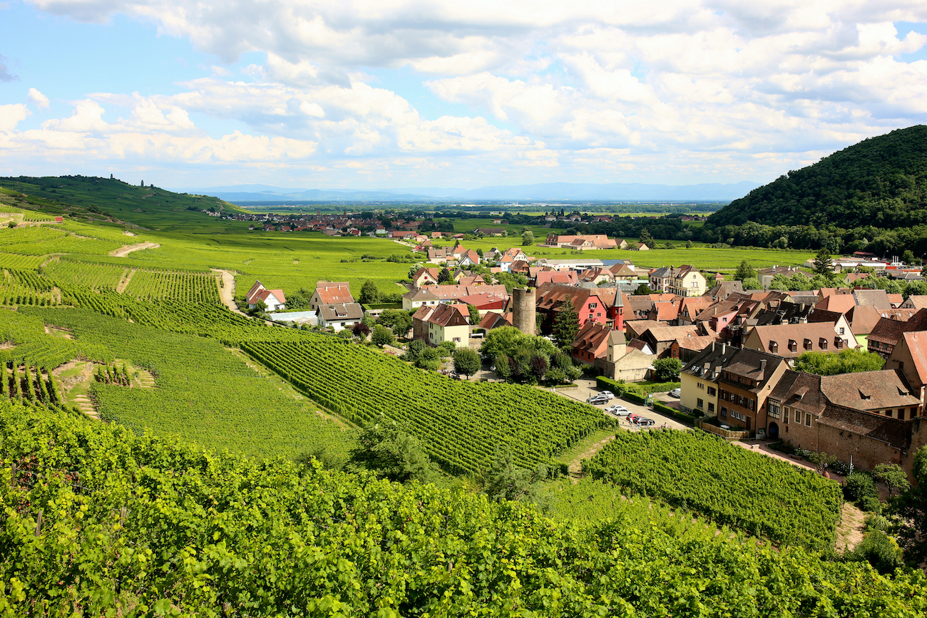 La Route des Vins en Alsace, un produit phare (©DepositPhotos)