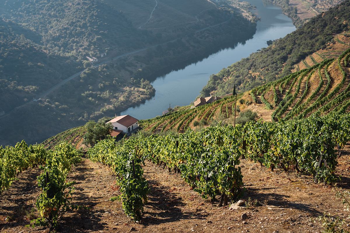 Douro © Photo by Maksym Kaharlytskyi on Unsplash