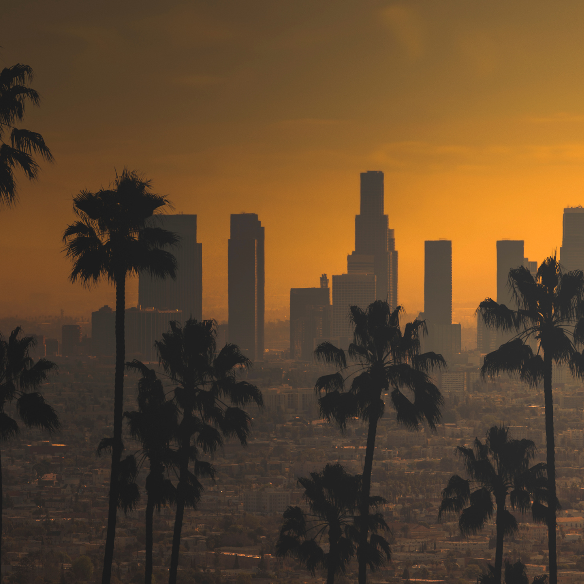 Météo Los Angeles : Quelle est la saison idéale ?