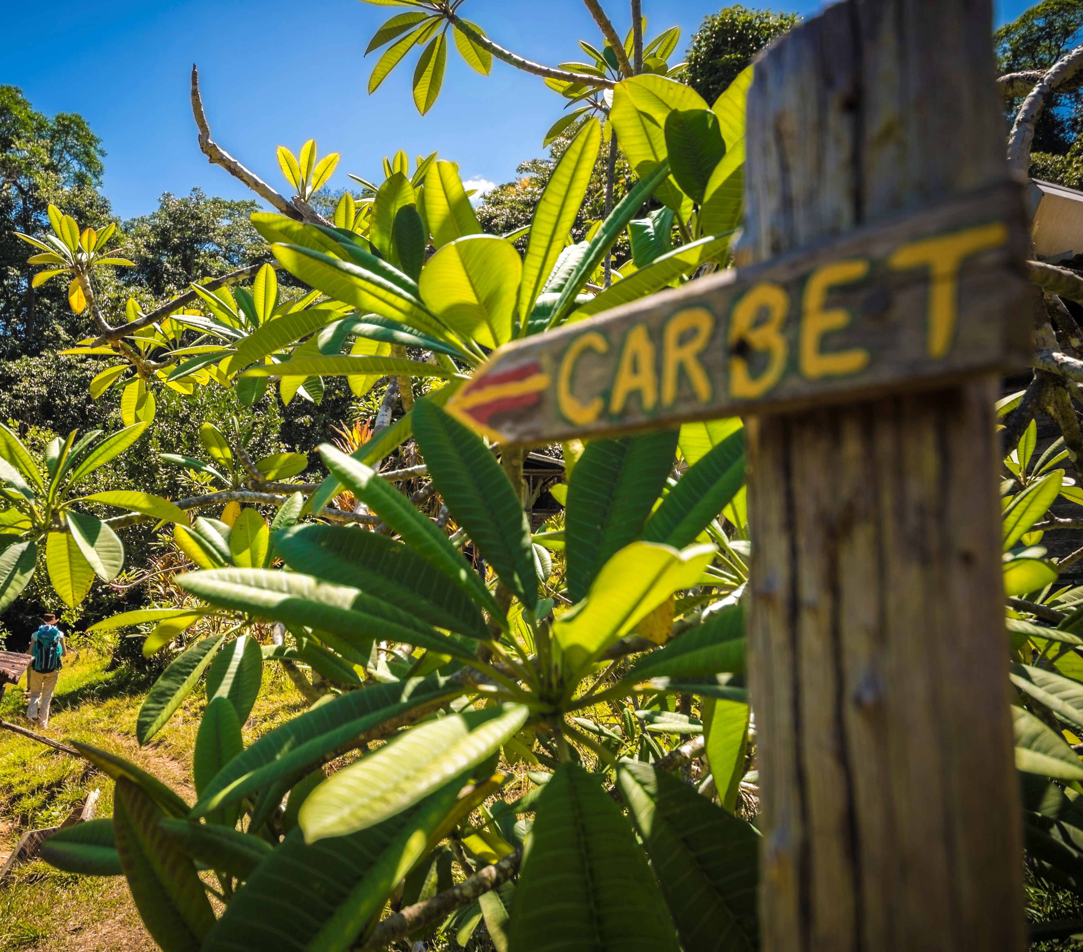 Office de Tourisme de l’Ouest Guyanais Office de Tourisme de l’Ouest Guyanais