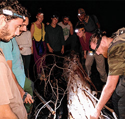 Office de Tourisme de l’Ouest Guyanais Office de Tourisme de l’Ouest Guyanais