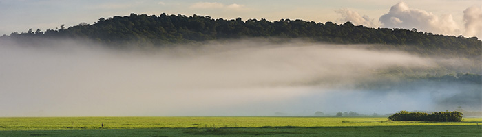 © ABrusini ctguyane - Marais de Kaw-Roura j’aime son côté Zen