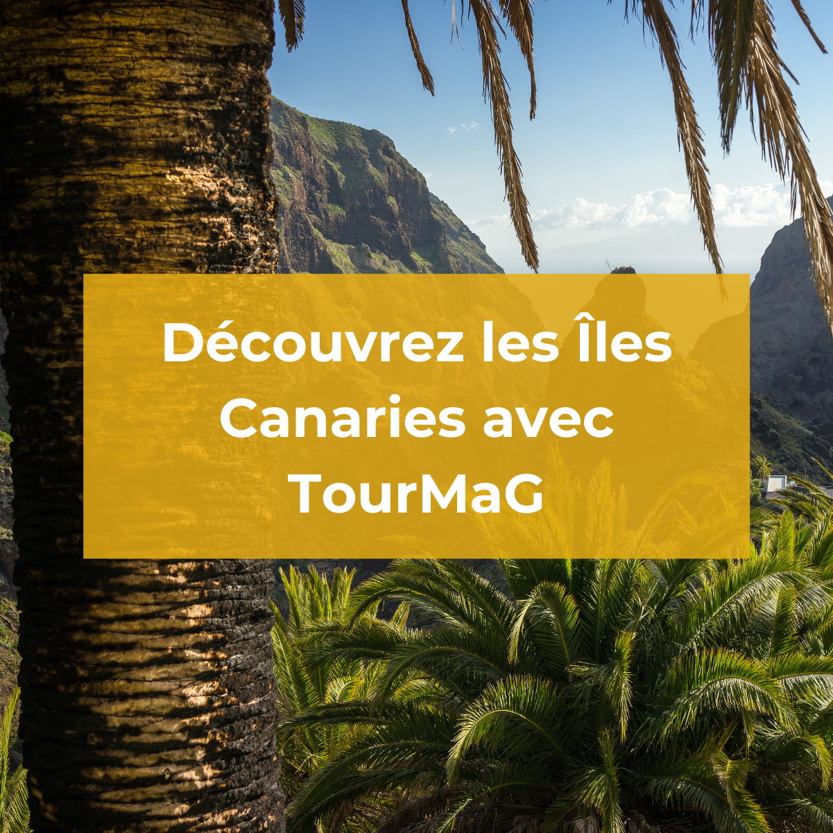 Les îles Canaries : visites et activités incontournables