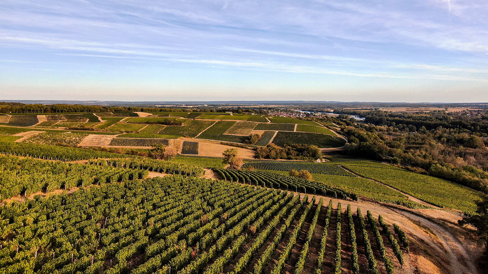 Vignobles de Pouilly (©FMR TravelBlog) Vignobles de Pouilly (©FMR TravelBlog)