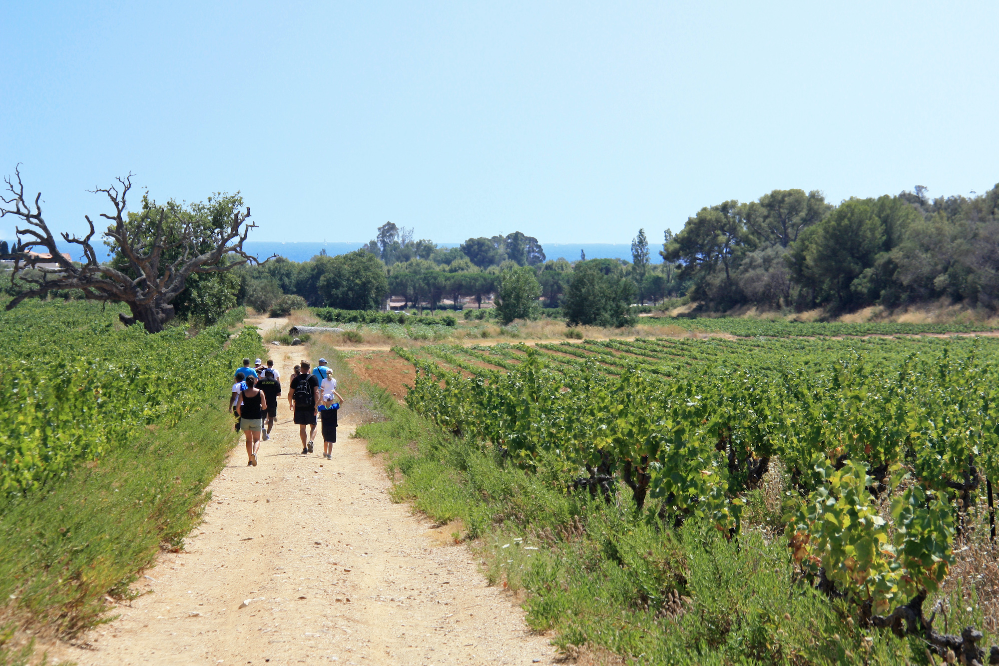 Découverte des Domaines à partir du village (©Azureva)