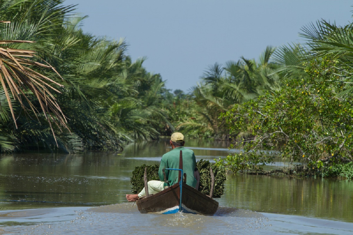 Kappa Club soutient Yagasu, une association indonésienne de préservation de l’environnement, dans la restauration de 5 000 hectares de mangrove - DR : Kappa Club