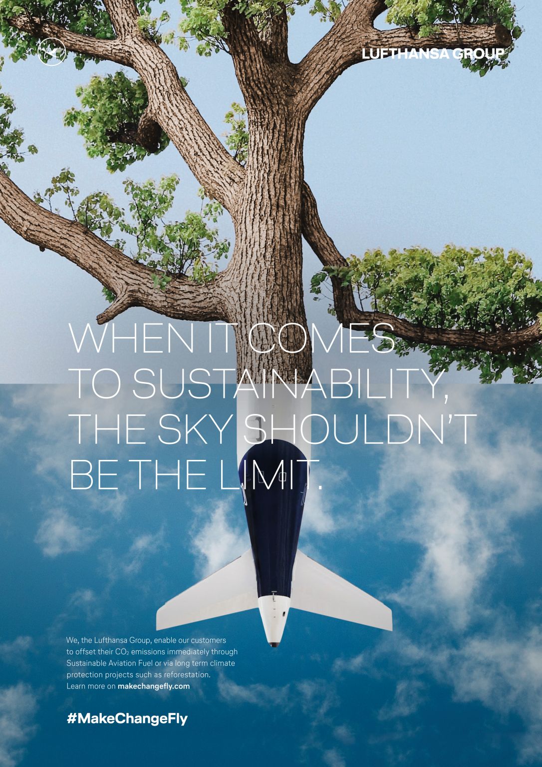 Pub et Greenwashing : "Ce que Lufthansa fait passer sur son action est faux, tout simplement"