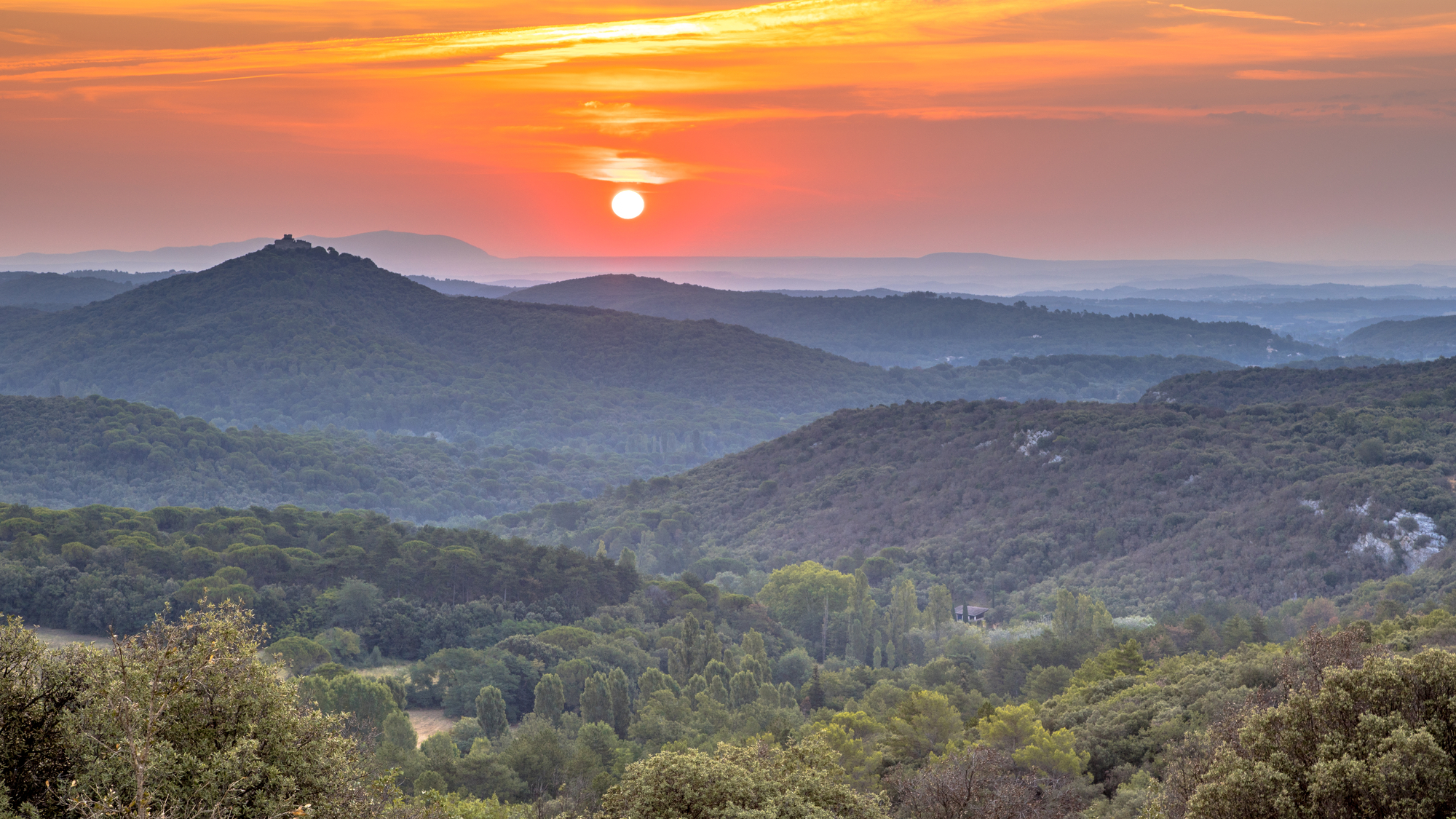 Le réchauffement climatique incite à une réflexion stratégique sur l'avenir (©Parc des Cévennes)