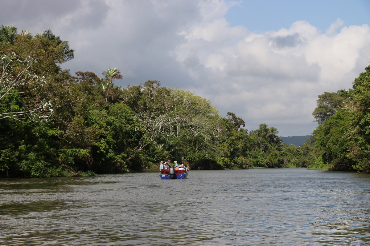 Brésil : en croisière sur le fleuve e…