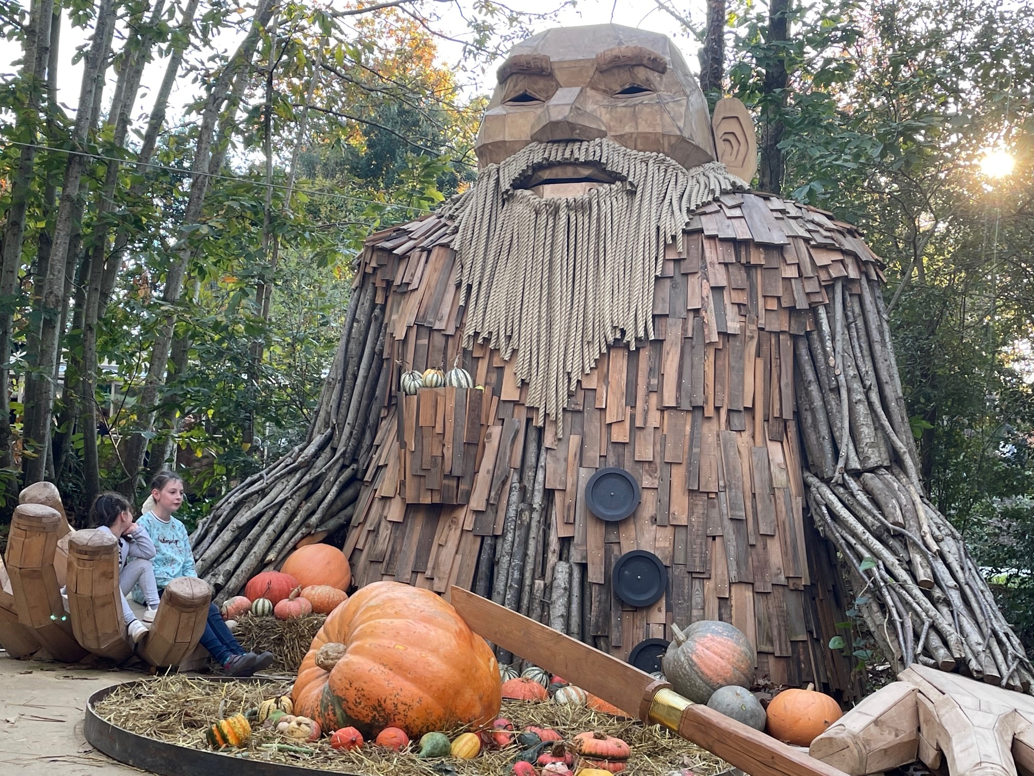 Les Mystères de la Forêt (©Vincent Ripaud)