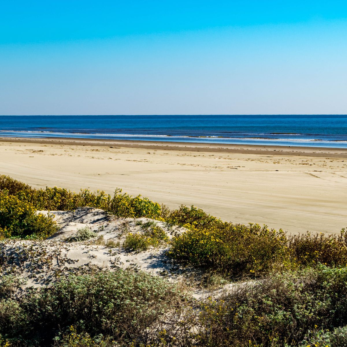 Golfe du Mexique : une côte magnifique du Nord au Sud ?