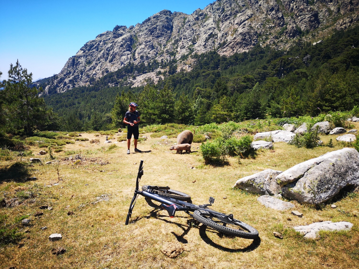 Cyclotourisme: la Corse tire les bons fruits de sa GT20