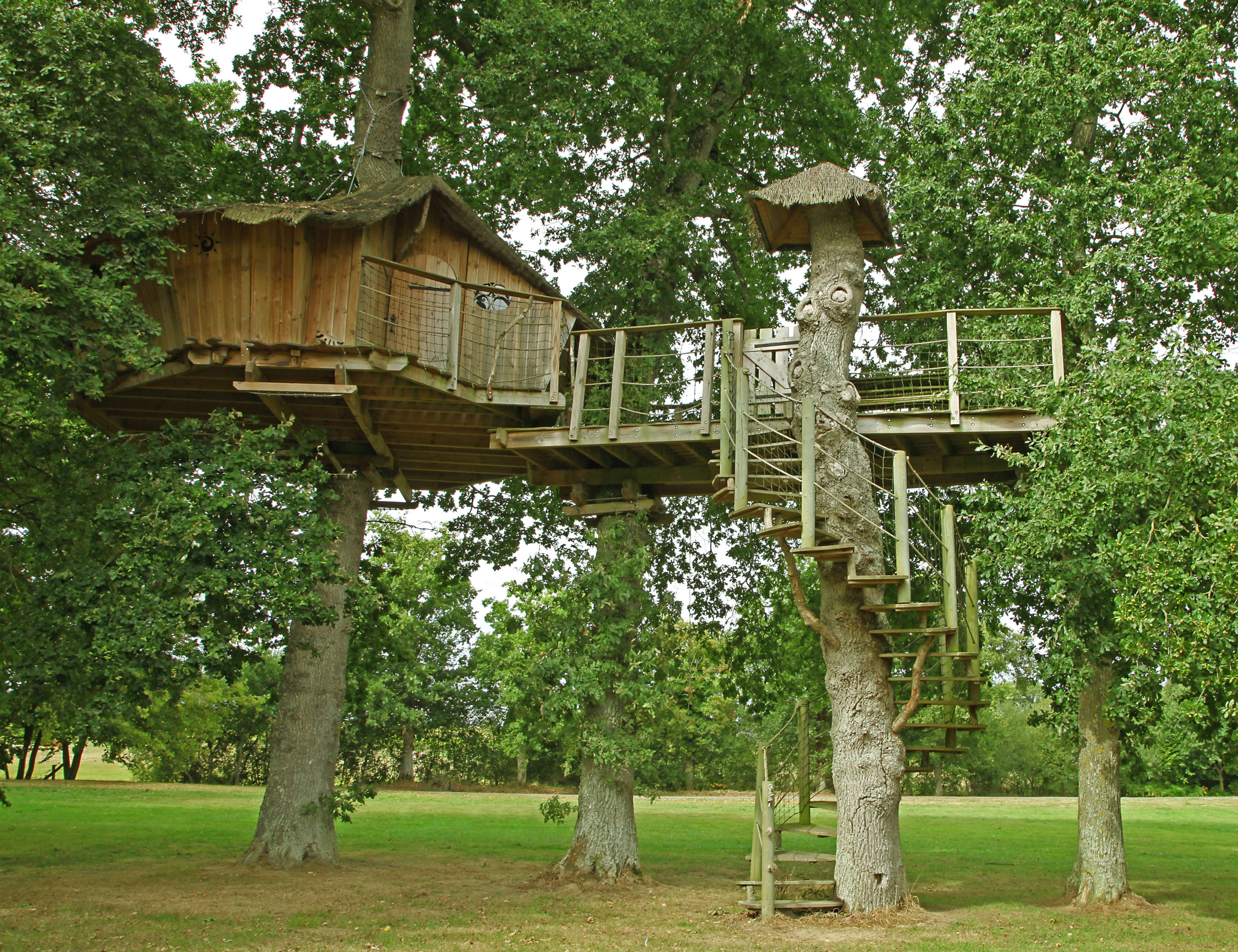 Cabane dans les arbres ©  hcast - stock.adobe.com