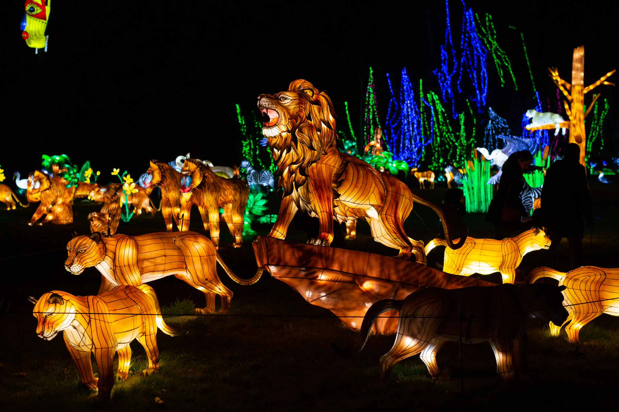 Les lumières sauvages de Peaugres