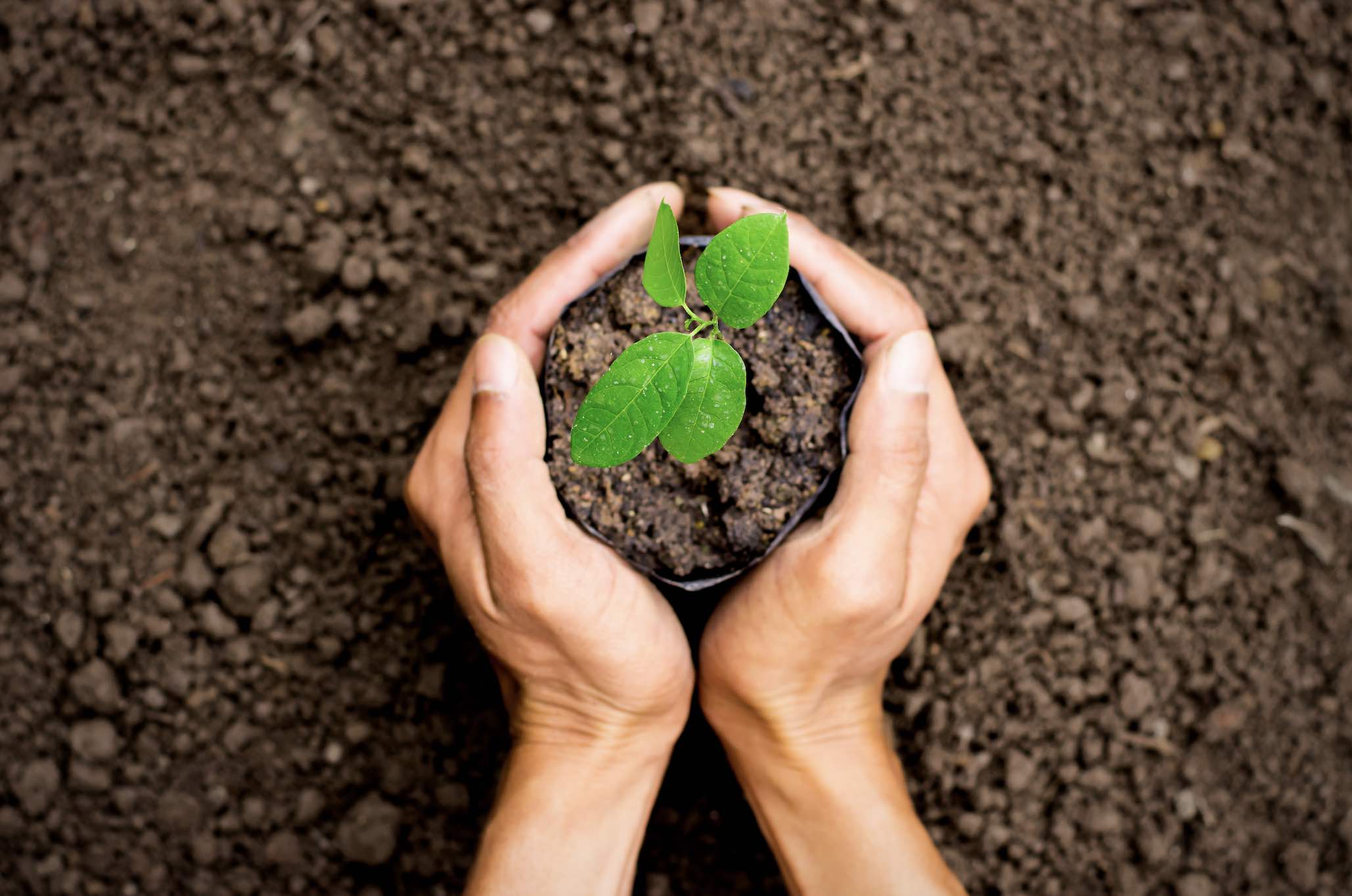 Miles & Act et Time for the Planet s’associent pour une transformation positive des organisations