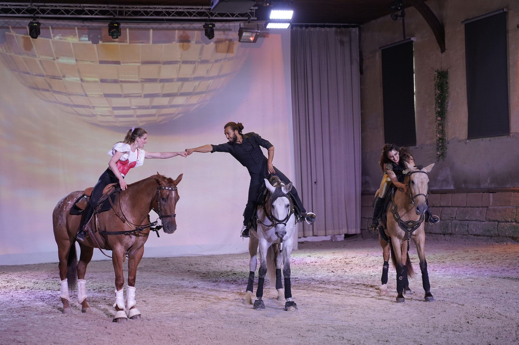 Le théâtre équestre constitue le clou de la vie des Haras (©Danielle Dumas CRT)